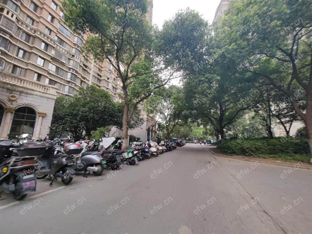 精装修，随时看房