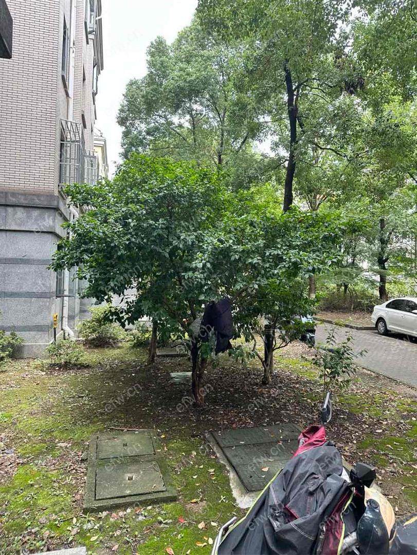惠泉花园三房出租 看房有钥匙