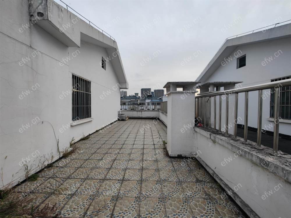 顶复,户型正气,采光好,诚心出售