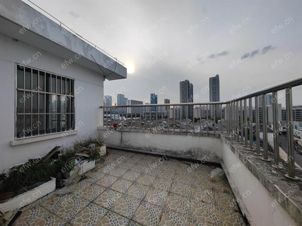 顶复,户型正气,采光好,诚心出售