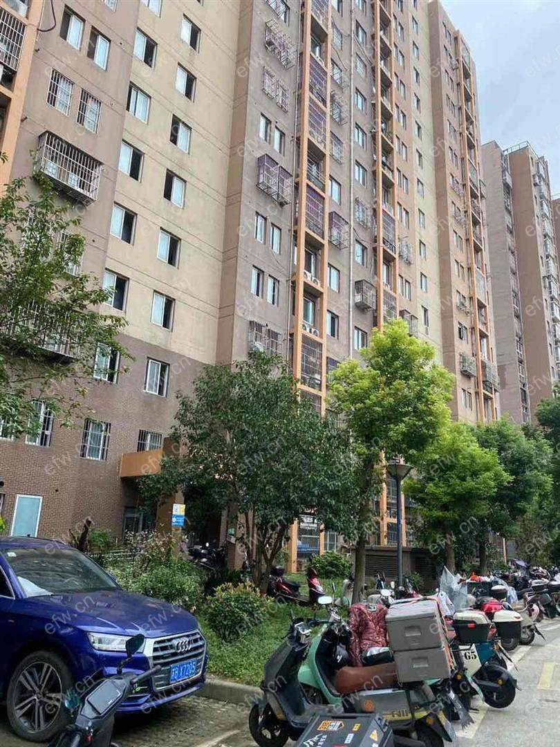 梨花家园精装3室  随时看房 拎包入住