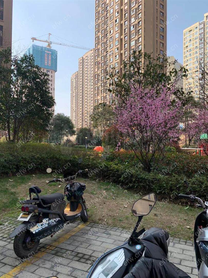 朗诗天萃 经典3房 东边户 全明 精装修！