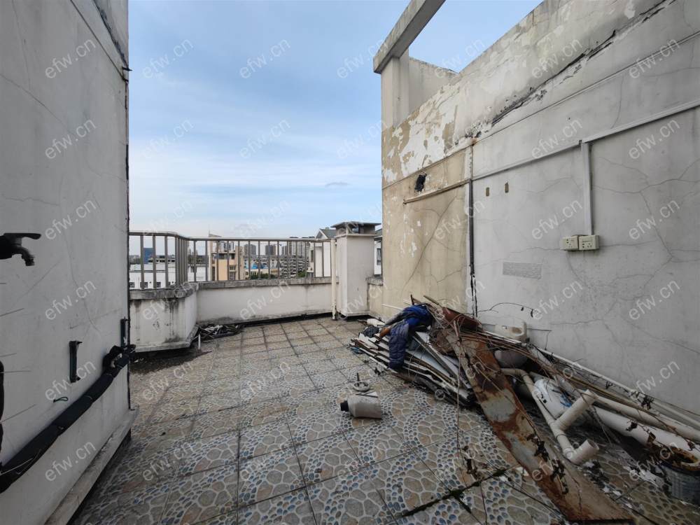 顶复,户型正气,采光好,诚心出售