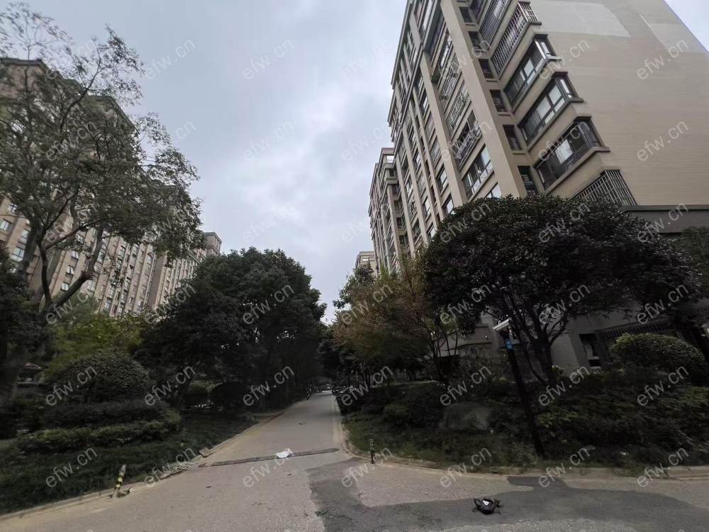 绿地世纪城四期(200-231） 年轻时尚,3居室,观景房,落地大飘窗,采光视野一流