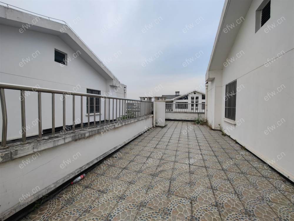 顶复,户型正气,采光好,诚心出售