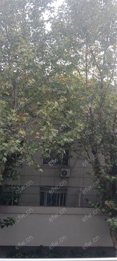 盛岸一村靠近地铁口的单间