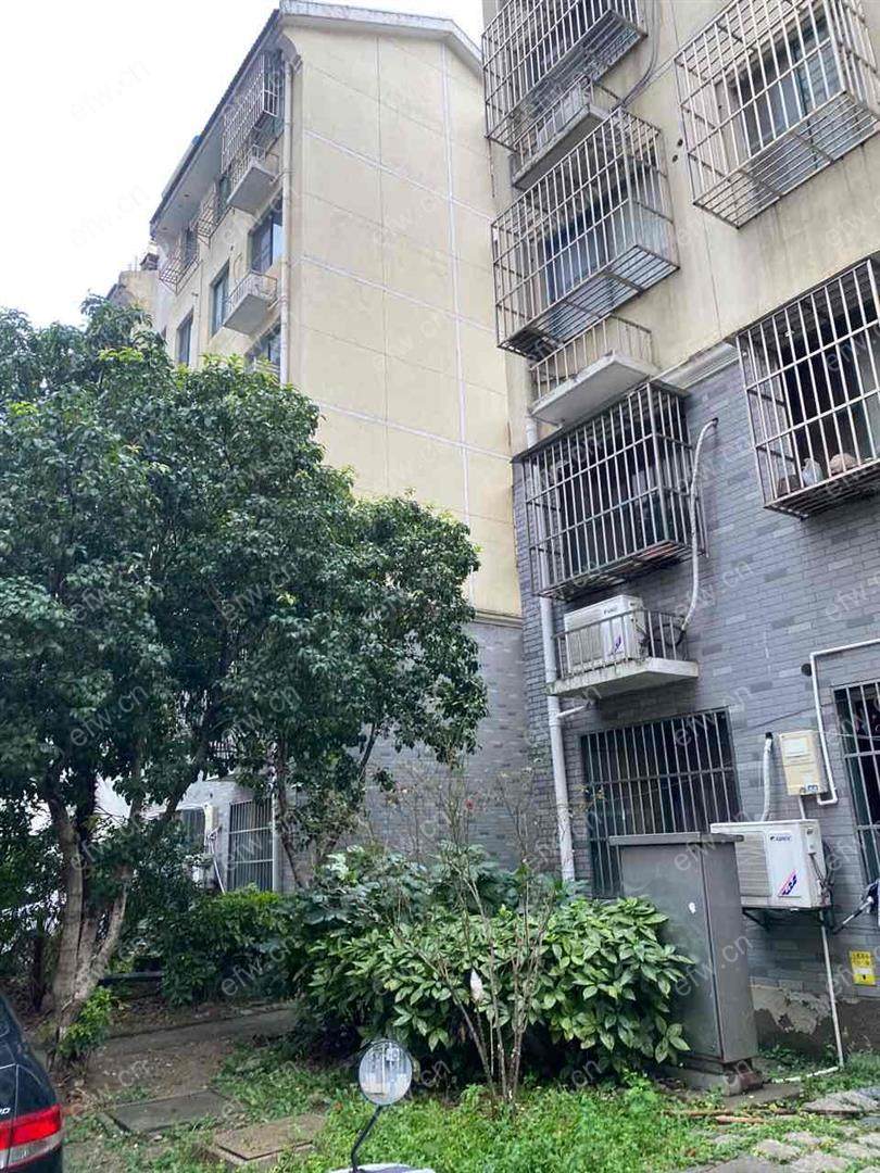 家电齐全  民丰西苑 采光好 绿化好