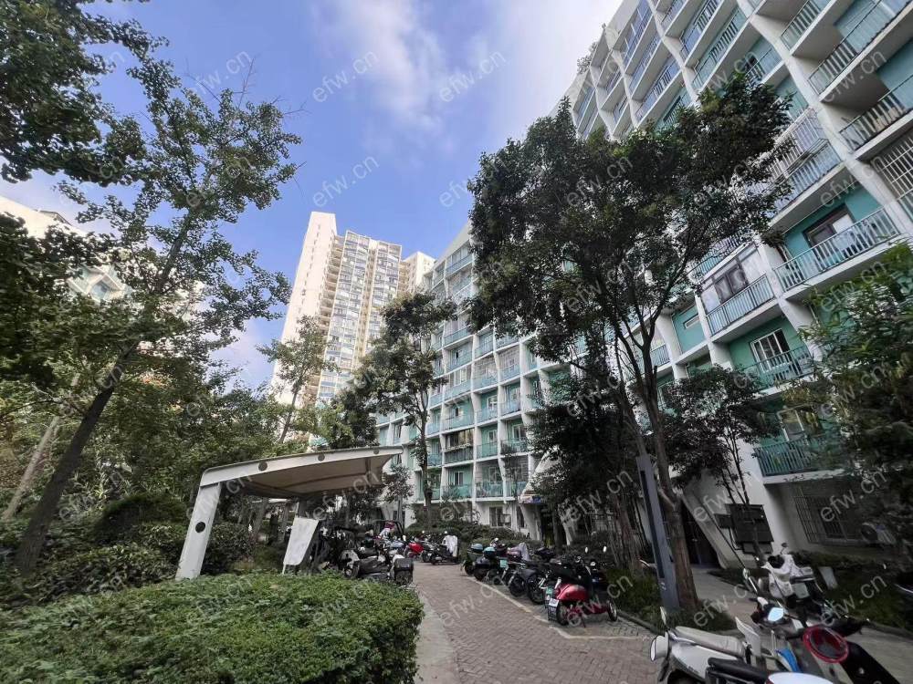 阳光100际新城北区(527-563) 3房 全明户型 另送家电