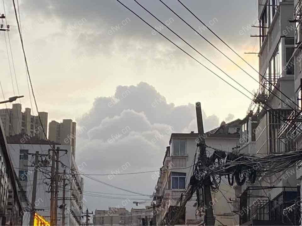 广瑞二村 1室1厅 简装