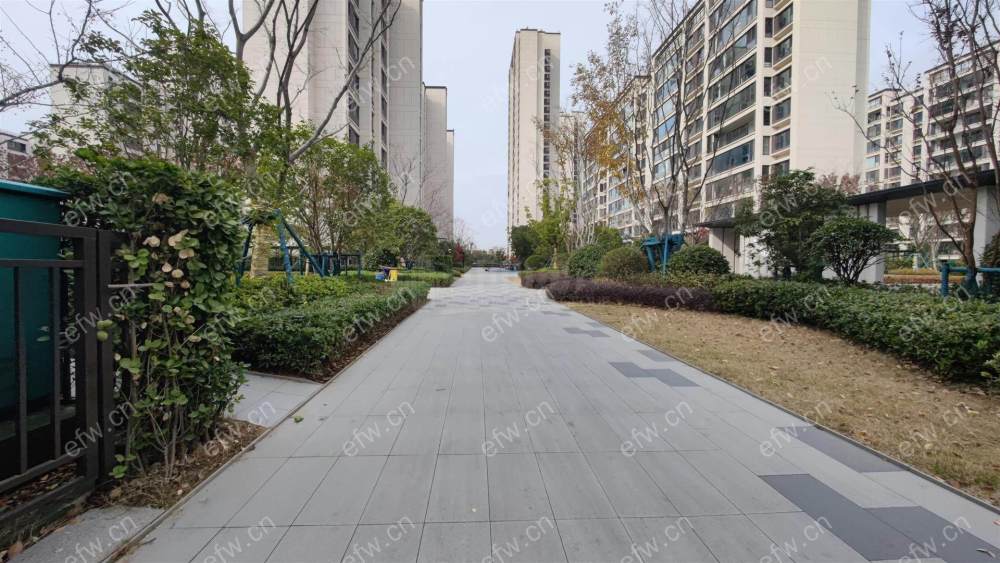 带花园，包车位，电梯洋房，配套成熟