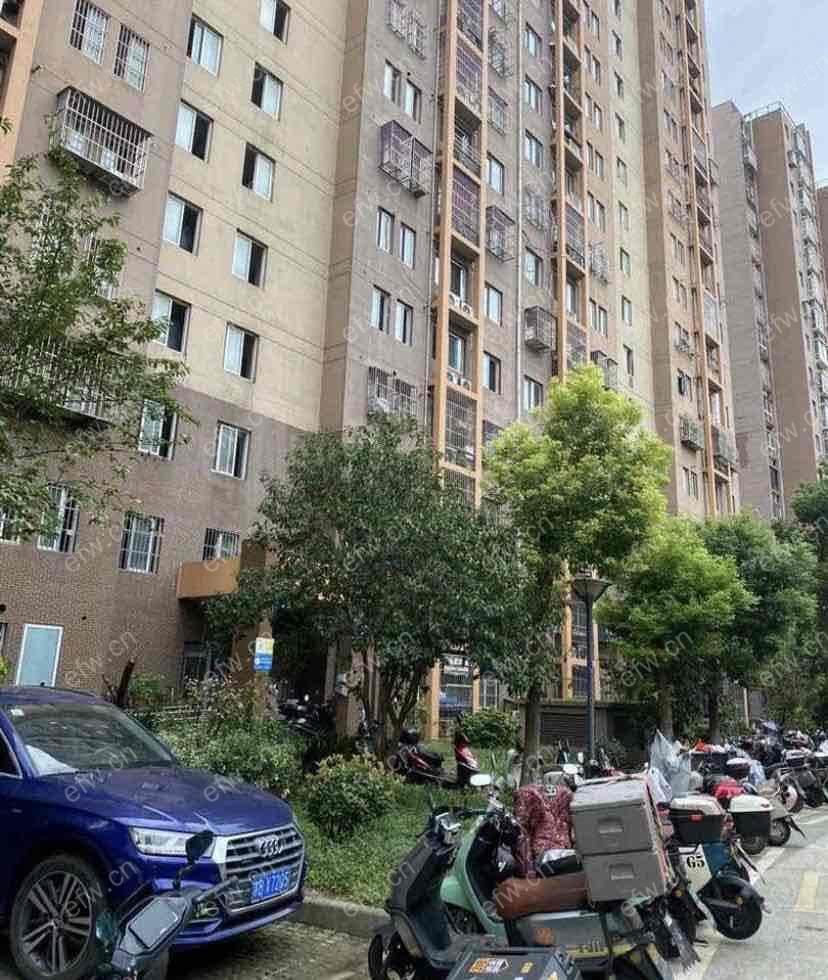 梨花家园 3室1厅