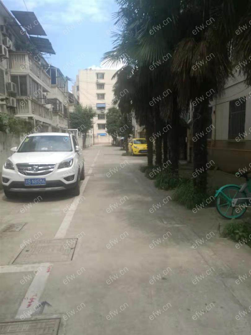 桃园新村 1室1厅 好房
